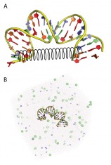 figure1