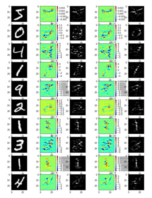 Saliency Map of the different inputs (Input, coloured map, grayscale map, coloured map, smoothed grayscale map)